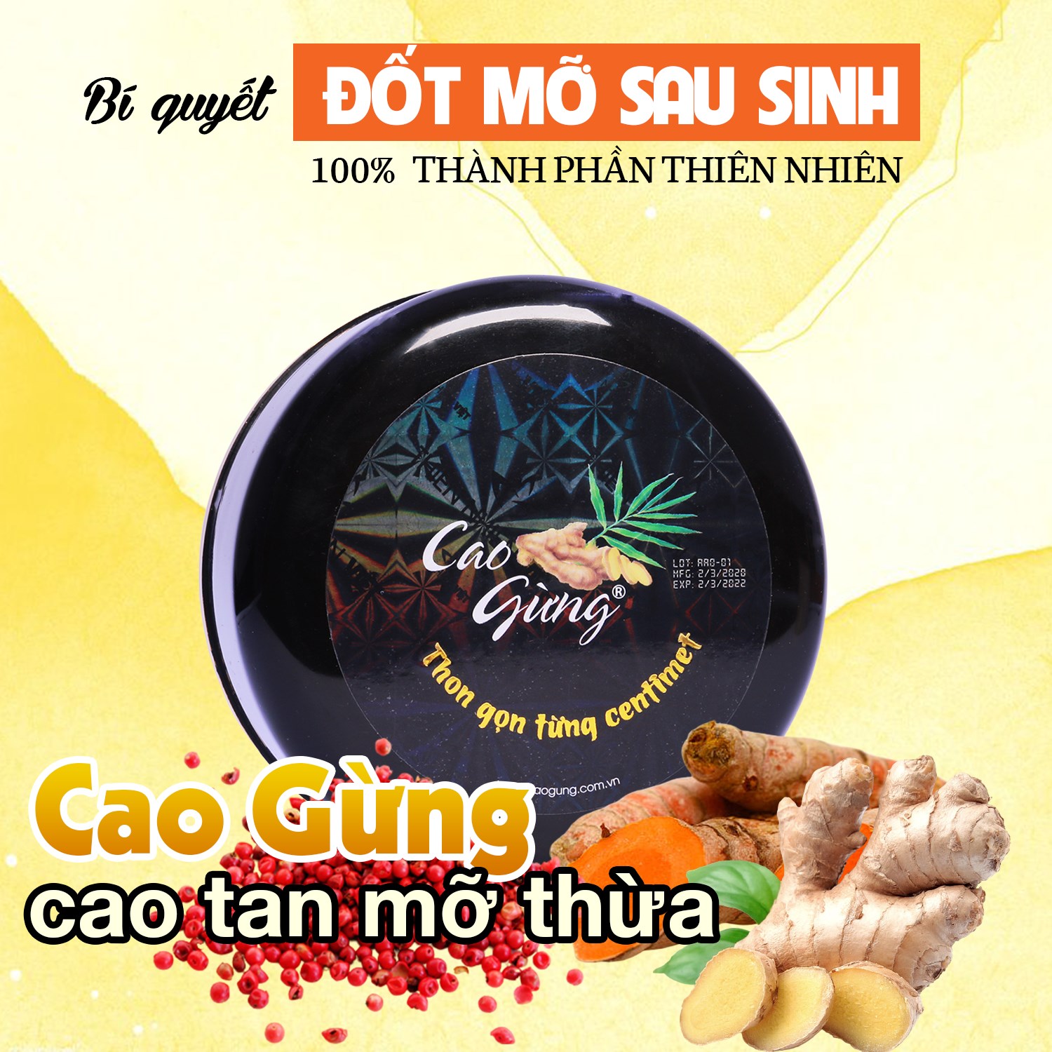 14329-post-app-1077-122903089-768254873906166-6978078184353137899-o-6.jpg Cao Gừng Tan Mỡ Bụng Thiên Nhiên Việt 250g Phiên Bản 2025 - Tặng Cao Gừng Nghệ Đỏ - 8936079033002