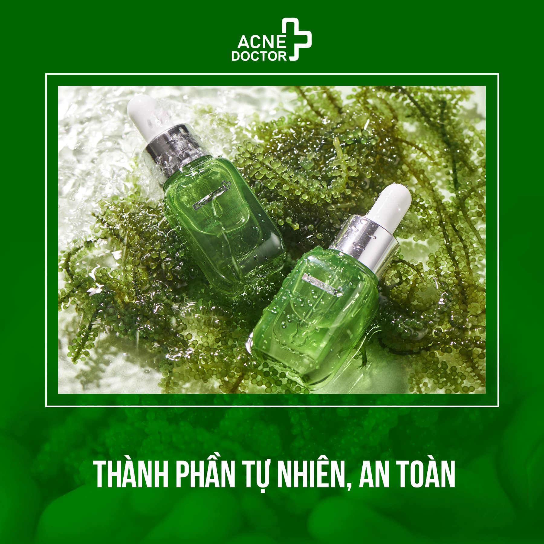 Serum trị mụn Sea Bzapes rong nho Acne Doctor chính hãng - 8938540049031