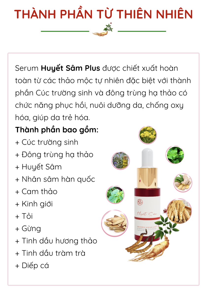 Serum Huyết Sâm Plus Bà Lão chính hãng - 8938660225025