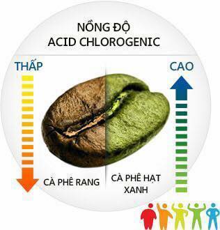 Cà phê Cappuccino Detox Max Health chính hãng - 8936188880016