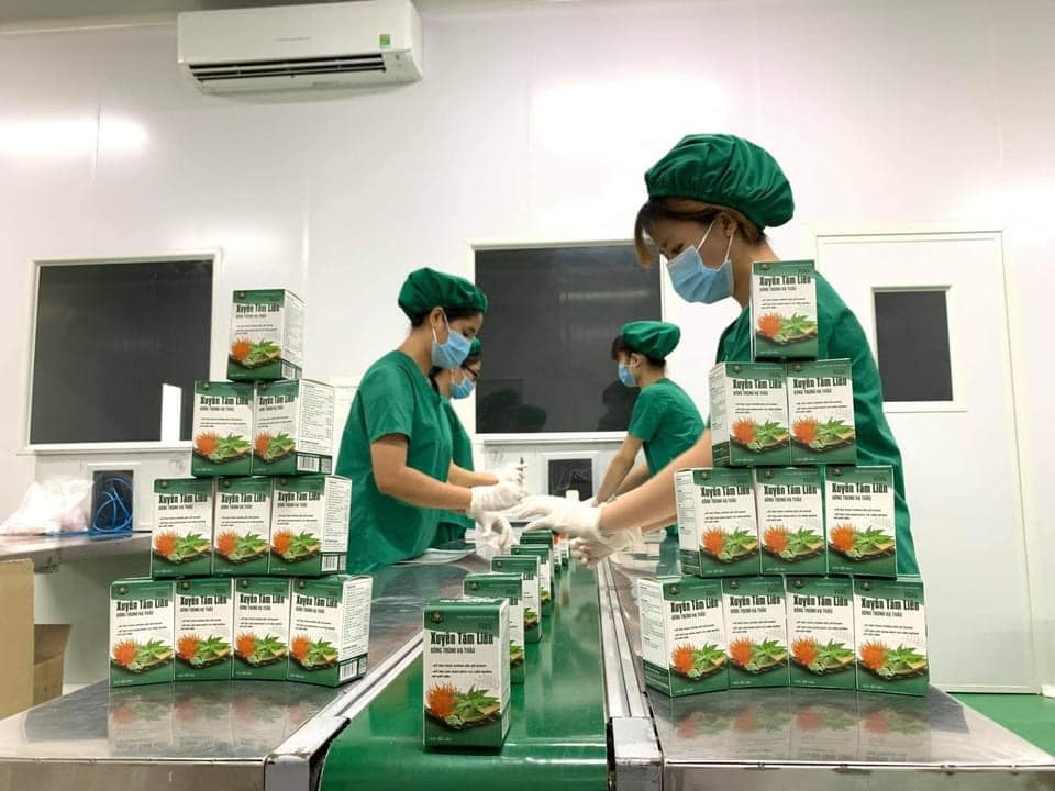 Viên uống Xuyên Tâm Liên Đông Trùng Hạ Thảo Đông Y Hồng Tâm chính hãng - 8938529135168