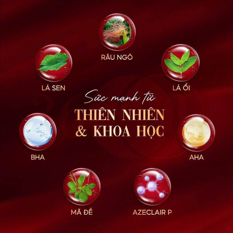 15588_phu-photoroom-41_20250107111627-3.jpg Serum Cốt Huyết Thanh Thảo Dược Sâm Đỏ 36 Vị 10ml MeeA Origin - 893853467078