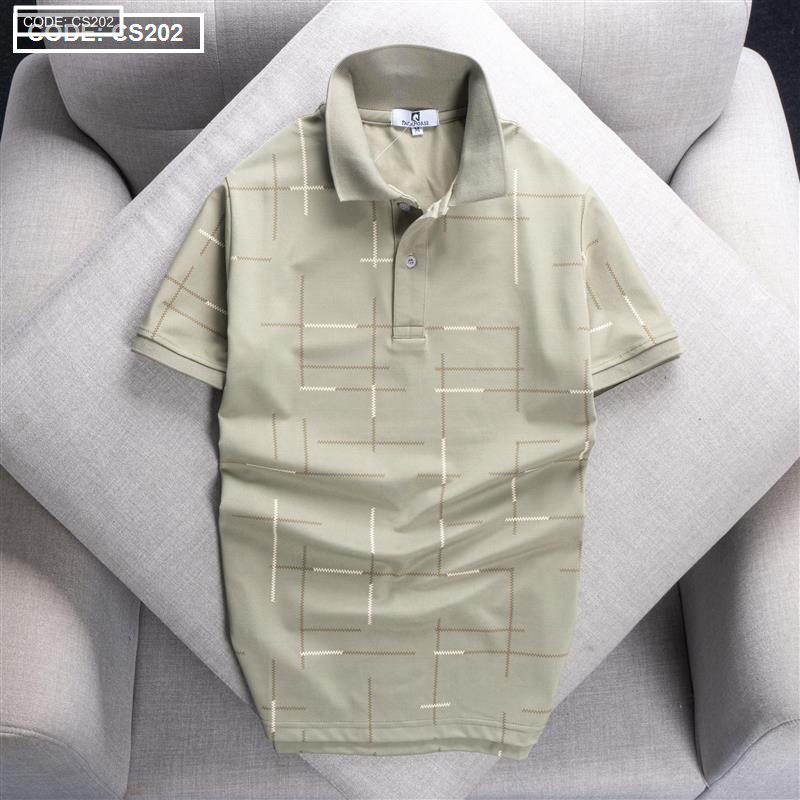 18976_18976-z4233360372826-5652f9f9796b9dd8edc9dc0b7fdd22cb_20250927214212-1.png Áo Thun Nam Cổ Bẻ Phối Hoạ Tiết Kẻ Sọc (Có size 3x) - CS202