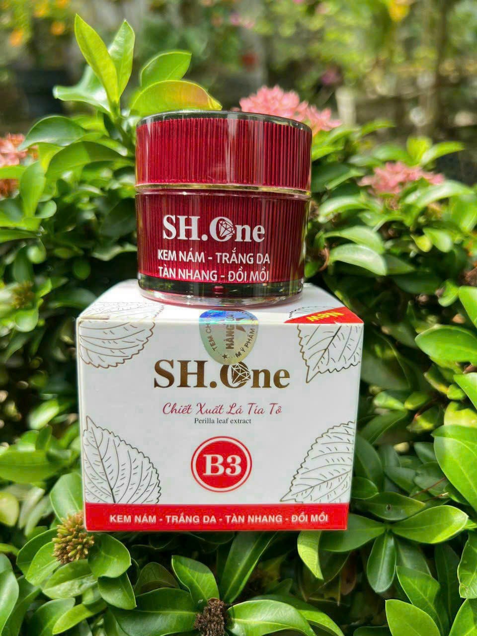 Nơi lấy sỉ kem Face Nám Trắng Da B3 SH One Đỏ Chiết Xuất Lá Tía Tô 5 Nơi lấy sỉ kem Face Nám Trắng Da B3 SH One Đỏ Chiết Xuất Lá Tía Tô