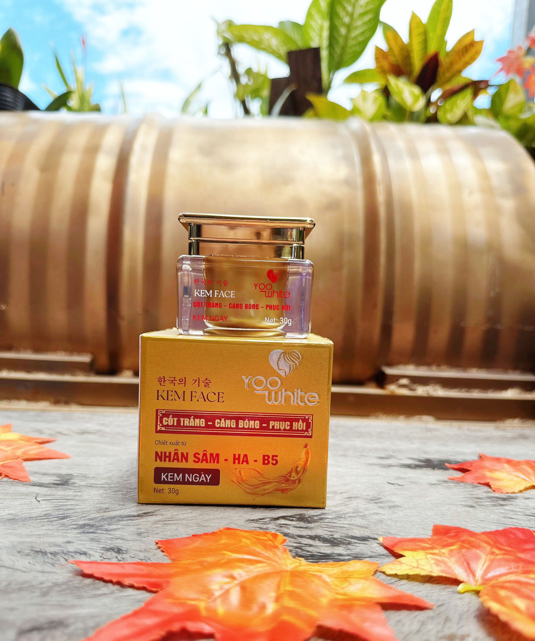 19963-z4442873194424-91462d7d66da7fa3977bda1367ab1354-1.jpg Kem Face Cốt Trắng Nhân Sâm Yoo White - COTTRANGYW