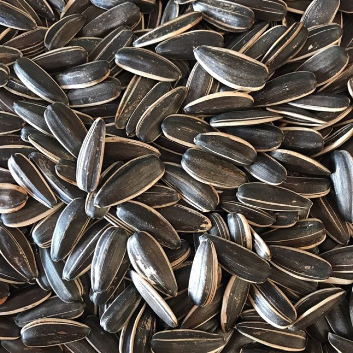 22765_hat-huong-duong-700x700_20241114094555-3.jpg Hộp Quà Tết Hạt Hướng Dương 300g - Hộp Sun Khía Hộp Quà Tết 2026 - 8936208933845