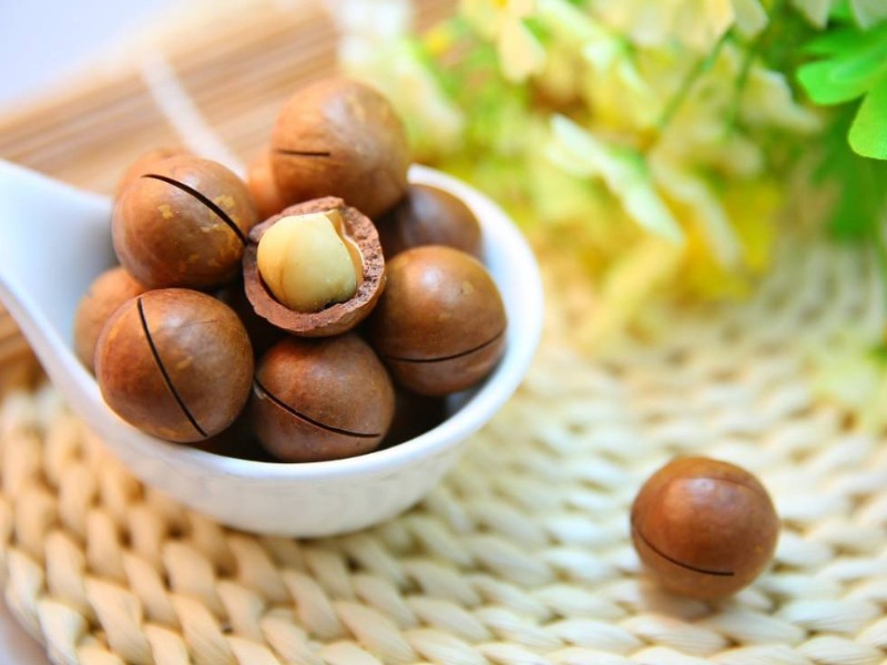 22997_hinh-anh-hat-macca_20241114103959-1.jpg Hộp Quà Tết Hạt Macca Tây Nguyên 400g - Hộp Sun Khía - MACCAHK