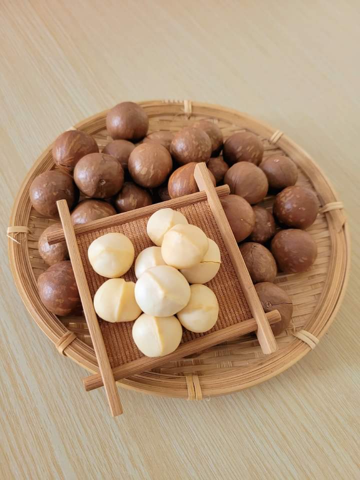 23369_macca-5_20241114174607-2.jpg Hộp Quà Tết Set Hạt Dinh Dưỡng Tam Vị 350g - Hộp Sun Khía Hộp Quà Tết 2026 - SHDD3VHK