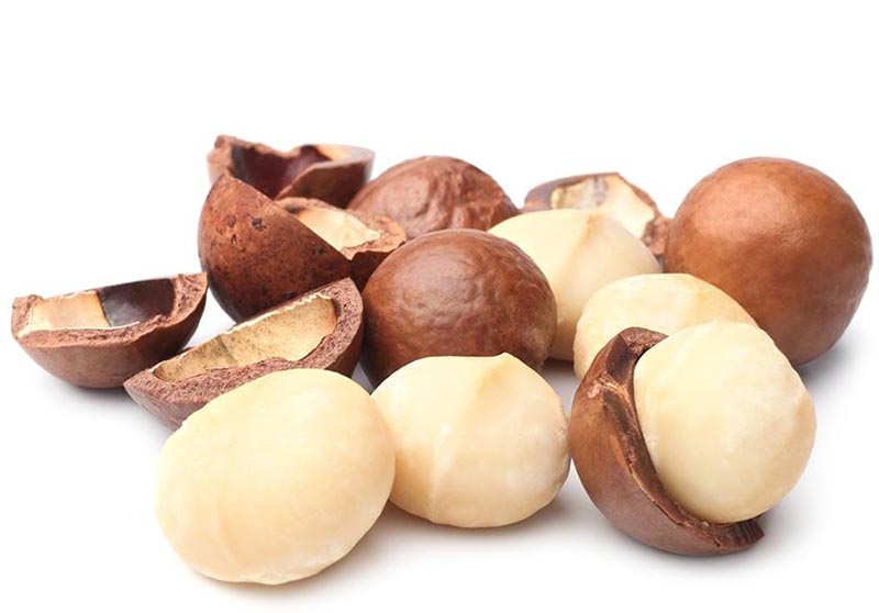 25738_hat-mac-ca-la-gi_20241113100801-4.jpg Hộp Hạt Macca Tây Nguyên Hộp Vuông Tròn 550G Hộp Quà Tết 2026 - HMTNHCN550