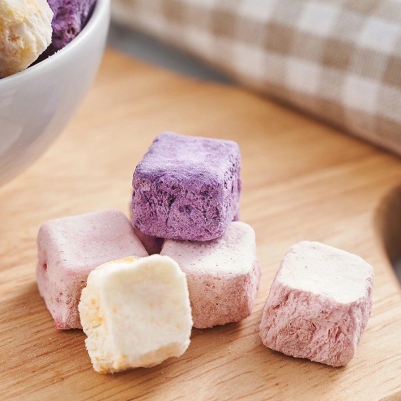 25866_10099-img-7309-photoroom-1_20241213124627-1.jpg Sữa Chua Sấy Thăng Hoa Mix Vị 220g - SCSTH220