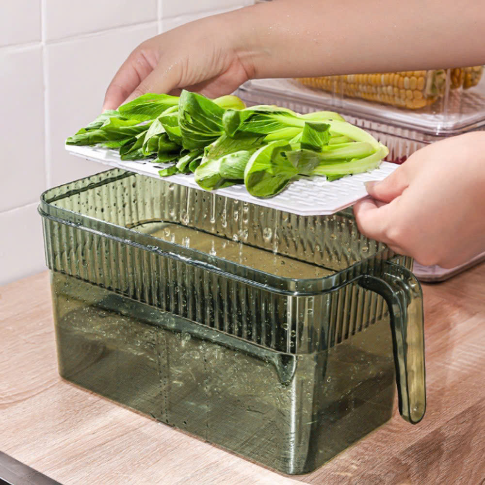 25923_z6219065553640-bbaf66c8f52692594304c09642a7b9c3_20250114095505-1.jpg Hộp Đựng Thực Phẩm Rau Củ Trái Cây Có Tay Cầm 28x13x13cm - HDTPCTC