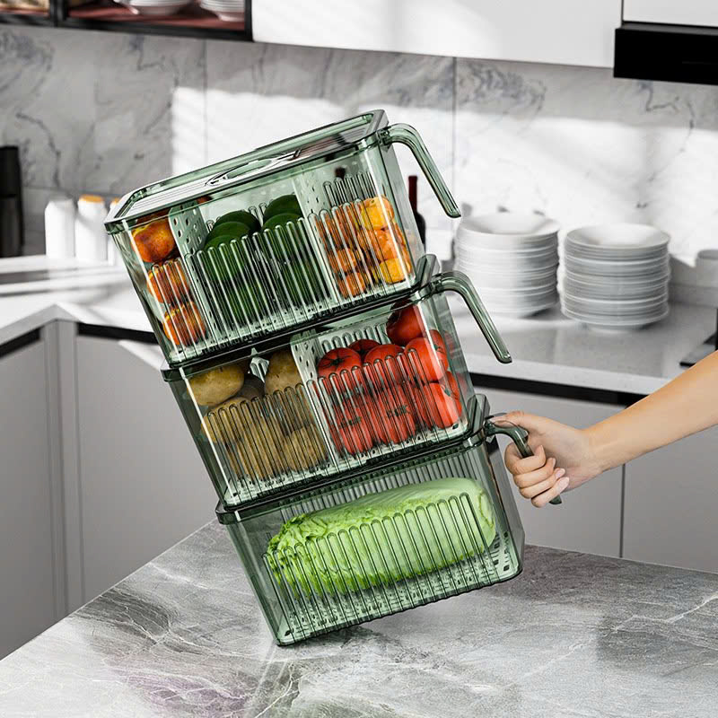 25923_z6219065573292-42d7345a9578a6fd62a68c70dd91a15d_20250114095506-1.jpg Hộp Đựng Thực Phẩm Rau Củ Trái Cây Có Tay Cầm 28x13x13cm - HDTPCTC