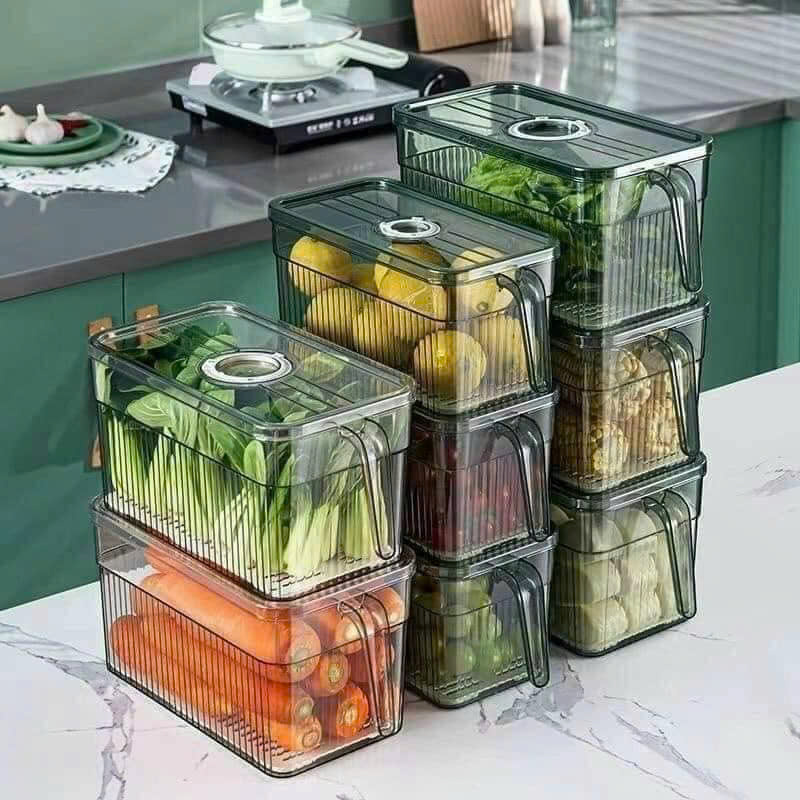 25923_z6219065613586-77db2ef648d4a23d23d93d47854ce296_20250114095508-1.jpg Hộp Đựng Thực Phẩm Rau Củ Trái Cây Có Tay Cầm 28x13x13cm - HDTPCTC