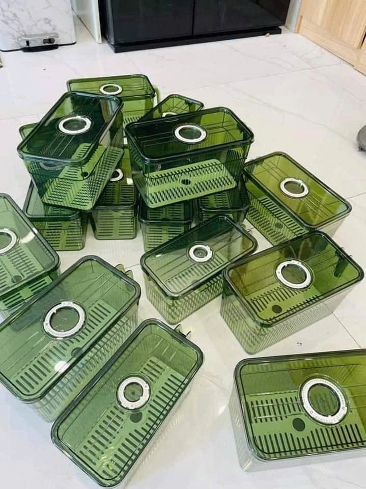 25923_z6219065620383-2091689426a080a5123c68d8d59eee25_20250114095508-1.jpg Hộp Đựng Thực Phẩm Rau Củ Trái Cây Có Tay Cầm 28x13x13cm - HDTPCTC