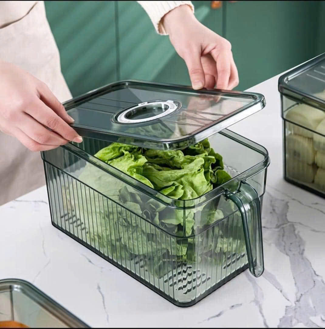 Hộp Đựng Thực Phẩm Rau Củ Trái Cây Có Tay Cầm 28x13x13cm 17 Hộp Đựng Thực Phẩm Rau Củ Trái Cây Có Tay Cầm 28x13x13cm