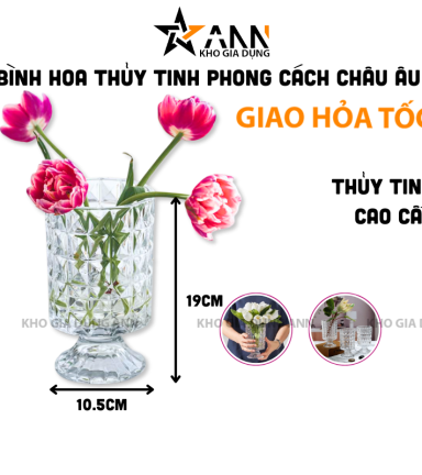 Bình Hoa Thủy Tinh - Lọ Hoa Mang Phong Cách Châu Âu Sang Trọng 19x10.5cm - BHTT04