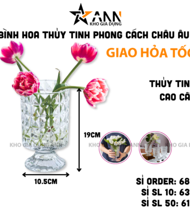 Bình Hoa Thủy Tinh - Lọ Hoa Mang Phong Cách Châu Âu Sang Trọng 19x10.5cm - BHTT04