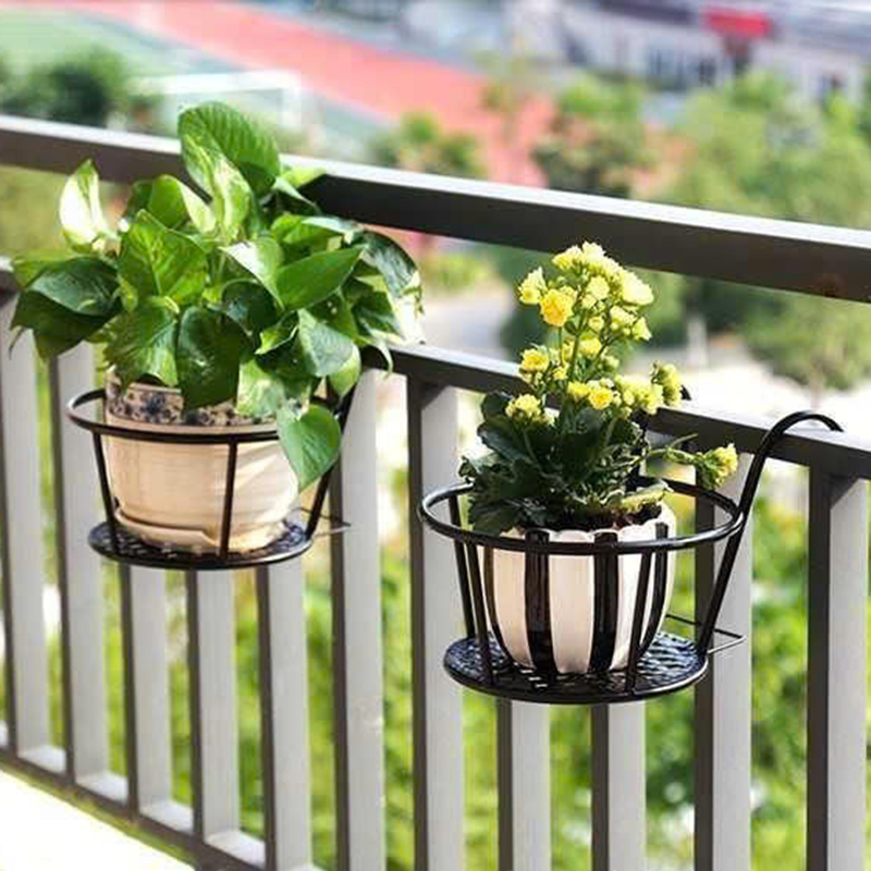 26016_z6238536294610-3ea0b01322d8d57ee57656c6718bacd7_20250120162341-2.jpg Giỏ Sắt Tròn Treo Hoa Ban Công 18x18cm - GTH01