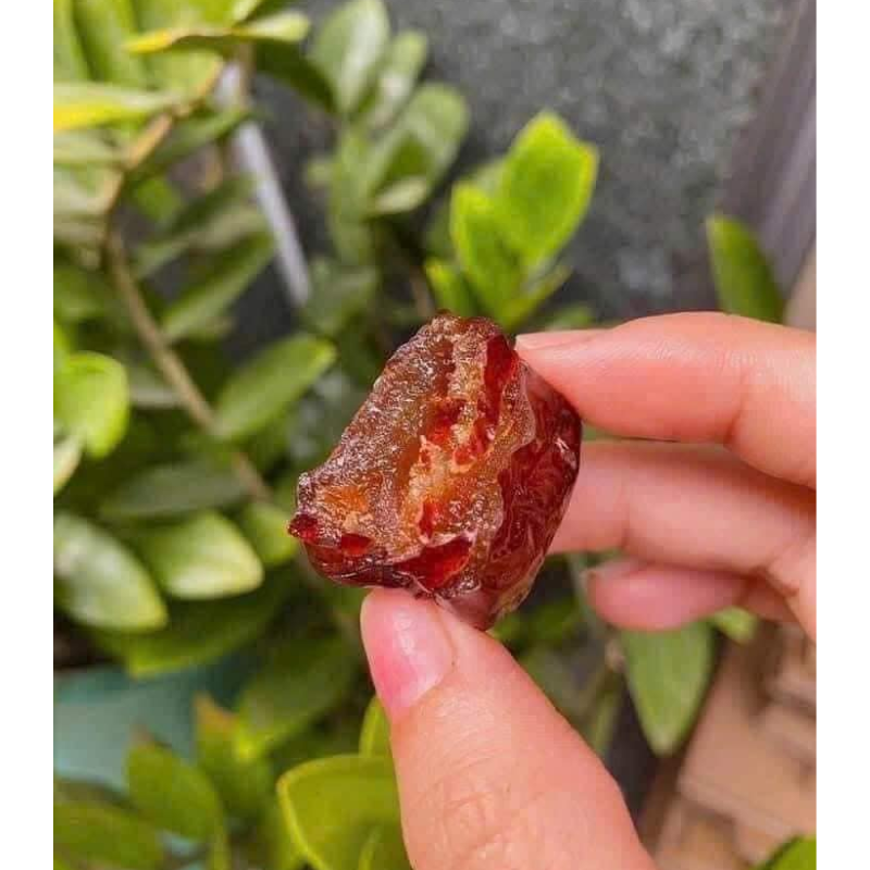 26349_6_20250426162411-1.png Mứt Táo Thái Lan Thơm Ngon Hộp 500g - MTTLH500G