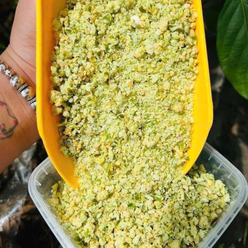 Shop sỉ hộp Muối Ớt Xanh Rang Khô 500g 6 Shop sỉ hộp Muối Ớt Xanh Rang Khô 500g