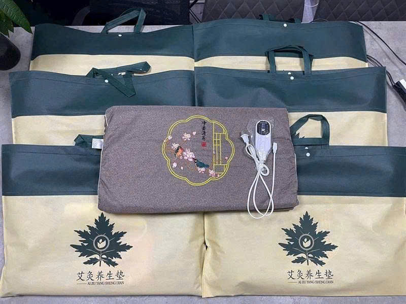 Shop sỉ nệm Ngải Cứu 2 Shop sỉ nệm Ngải Cứu