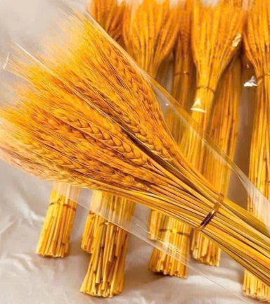 Set 2 Bó Bông Lúa - SET2BBNGLA