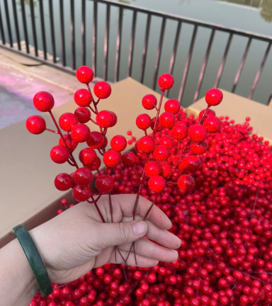 Combo 10 nhánh ĐÔNG ĐÀO - NHÁNH NHỎ - COMBO10NHNH