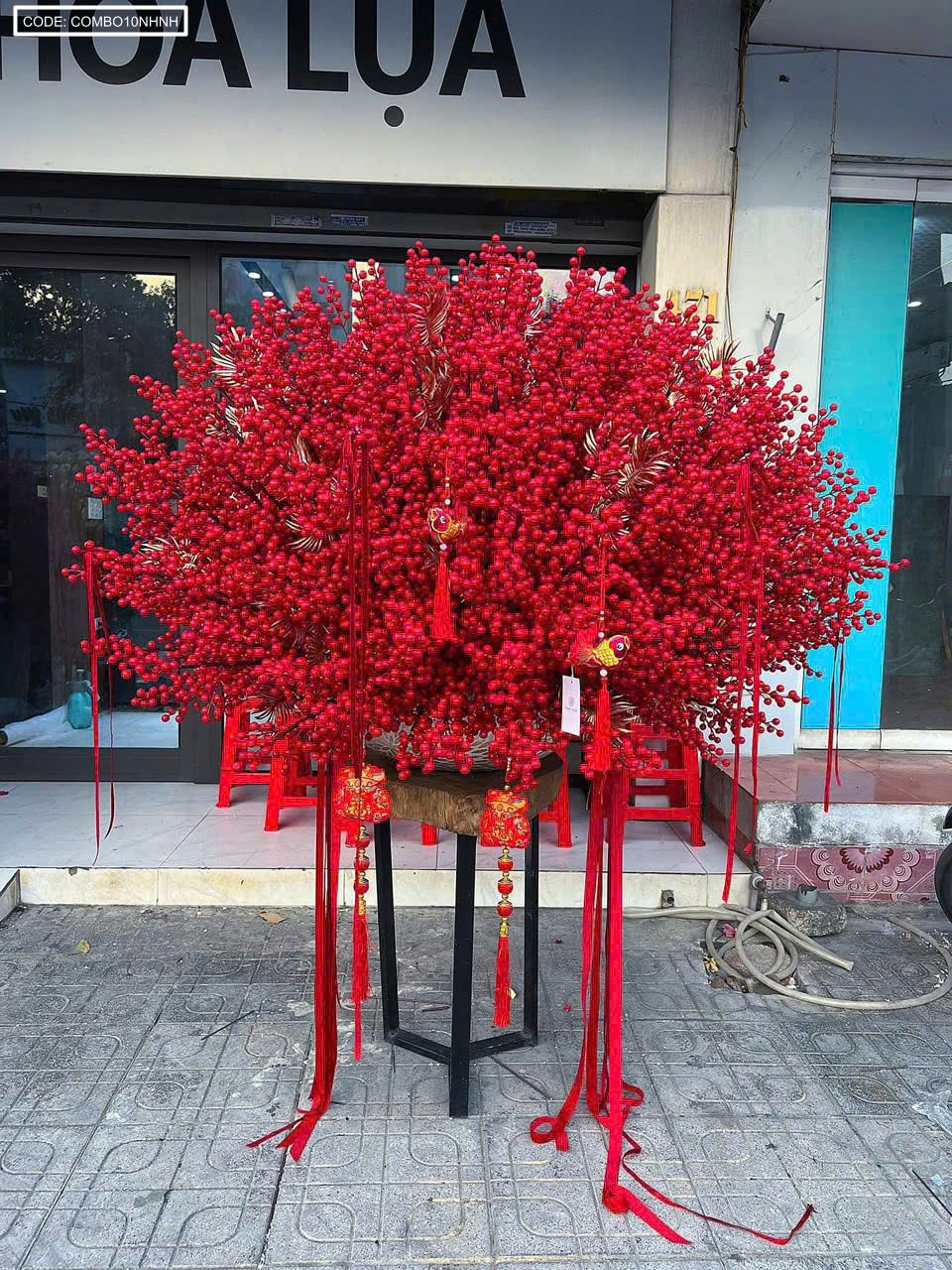 Nơi lấy sỉ combo 10 nhánh ĐÔNG ĐÀO - NHÁNH NHỎ 5 Nơi lấy sỉ combo 10 nhánh ĐÔNG ĐÀO - NHÁNH NHỎ