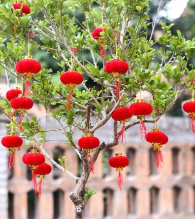 1 Bịt LỒNG ĐÈN NHUNG - Loại Bịt Hoặc 25 Trái - LNGNNHUNG