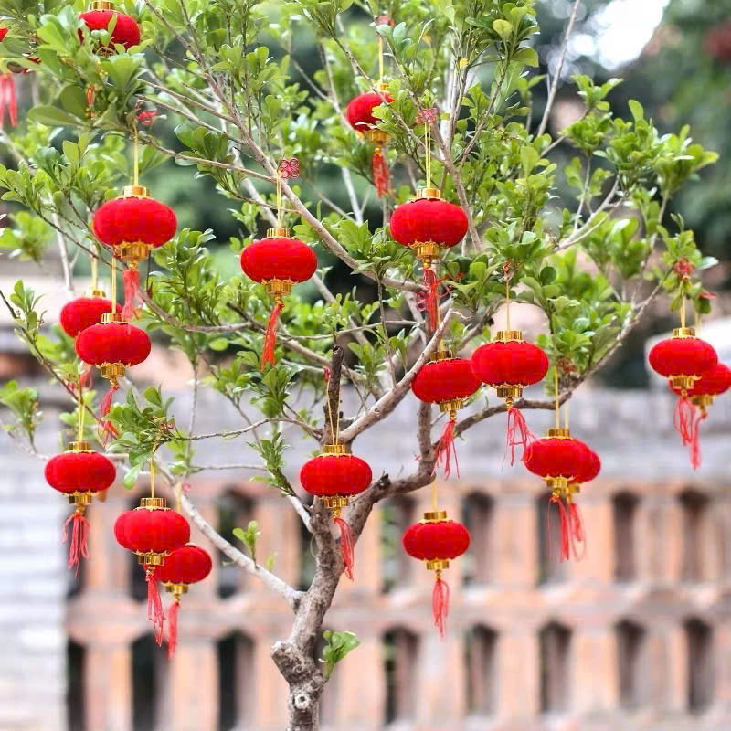 Chỗ sỉ 1 Bịt LỒNG ĐÈN NHUNG - Loại Bịt 30 Trái hoặc 25 Trái 6 Chỗ sỉ 1 Bịt LỒNG ĐÈN NHUNG - Loại Bịt 30 Trái hoặc 25 Trái