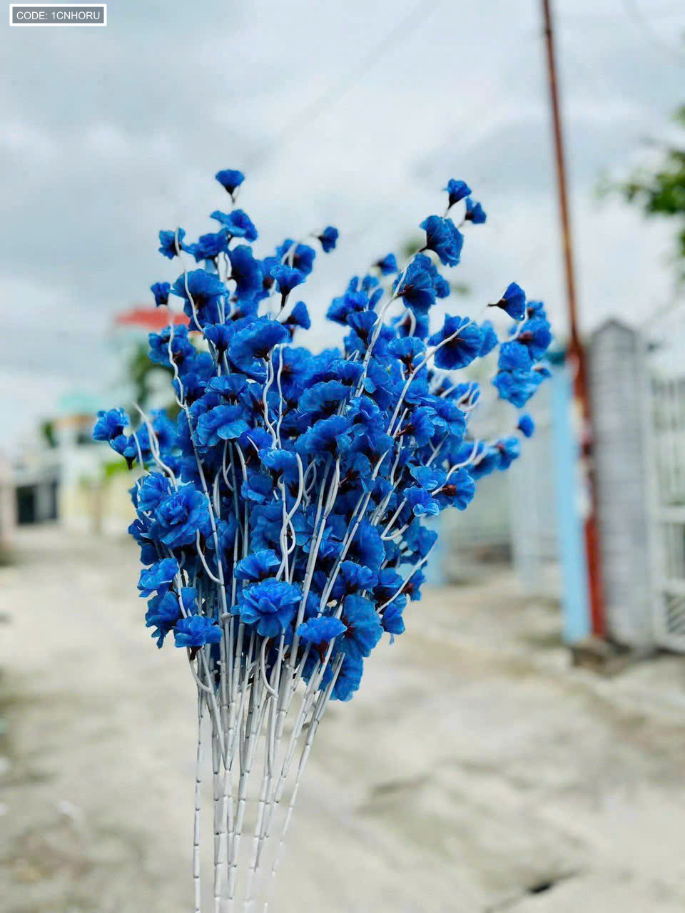 Nguồn hàng sỉ 1 CÀNH ĐÀO RÂU 12 Nguồn hàng sỉ 1 CÀNH ĐÀO RÂU