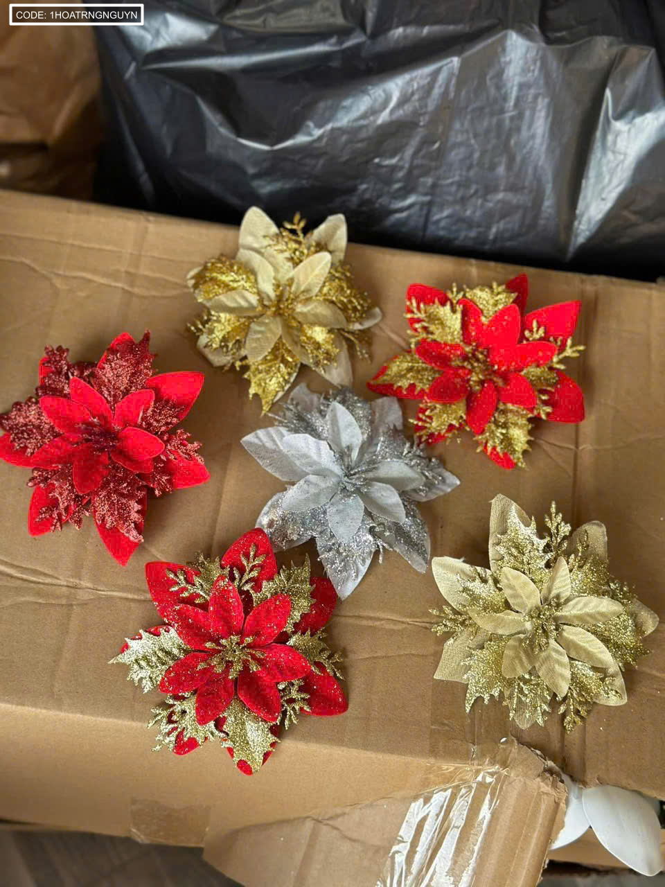 Chỗ sỉ 1 HOA TRẠNG NGUYÊN 3 Chỗ sỉ 1 HOA TRẠNG NGUYÊN