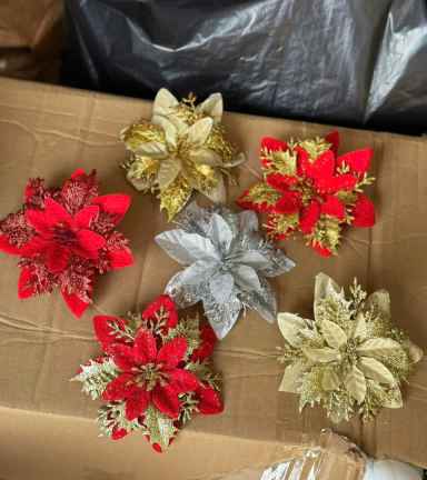 1 HOA TRẠNG NGUYÊN - 1HOATRNGNGUYN