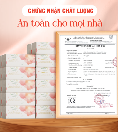 1 Thùng Giấy Ăn 10 Gói Topgia Sương Mai - TOPGIASMTHUNG10