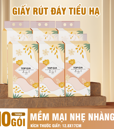1 Thùng 10 Bịch Giấy Vệ Sinh Rút Đáy Topgia Tiểu Hạ - TOPGIATHTHUNG10