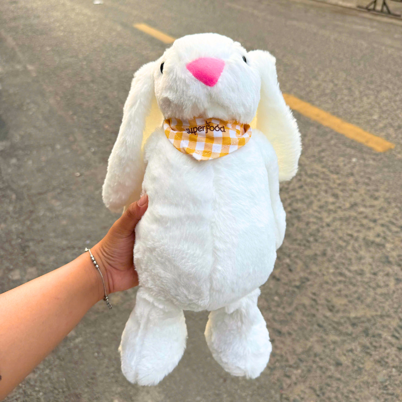 Nơi lấy sỉ thỏ Bông Trắng Mềm Mịn Dễ Thương Ngọt Ngào 5 Nơi lấy sỉ thỏ Bông Trắng Mềm Mịn Dễ Thương Ngọt Ngào