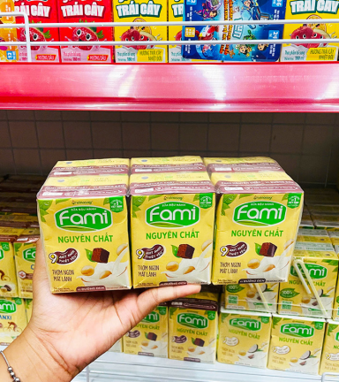 Sữa Đậu Nành FAMI Vị Socola Lốc 6 Hộp (200ml/Hộp) - 8934614030851