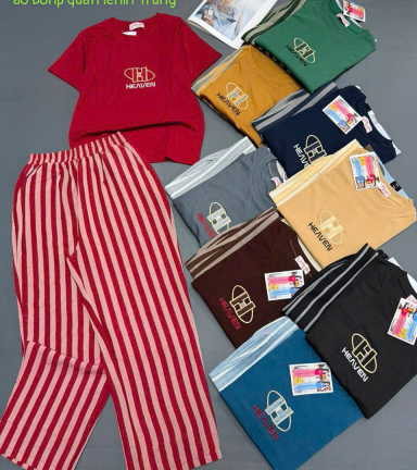 Đồ Bộ Nữ TL 2067 áo borip quần lenin Trung - DBOR0021