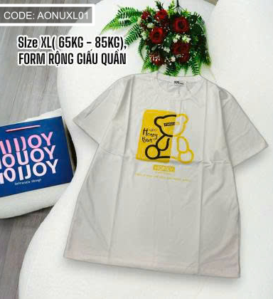 Áo Thun Nữ Cổ Tròn Size XL (65-85kg) - AONUXL01