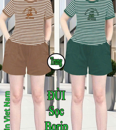 Đồ bộ nữ áo thun cổ tròn quần đùi sọc borip xịn size trung XS-909596 - DBOR0233