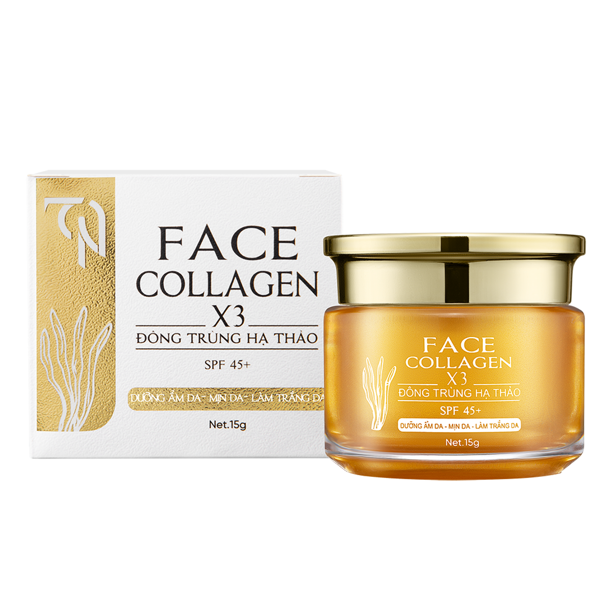 Kem Face Đông Trùng Hạ Thảo Collagen X3 TN