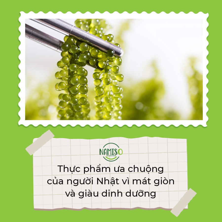 RONG NHO NAMISO - Món ăn nhất định phải thử ít nhất một lần trong đời