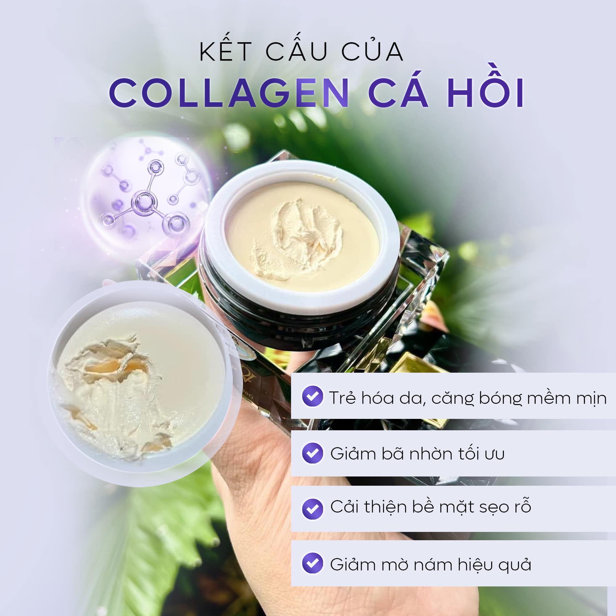 Thế hệ Treatment Bakuchiol Ampoule & Kem Face Collagen